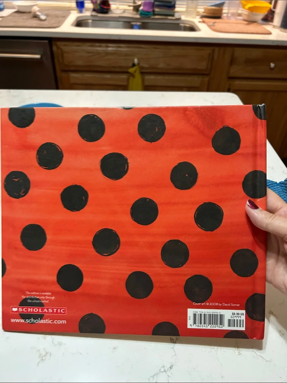 Ladybug Girl Children's Book - Red & White Cover